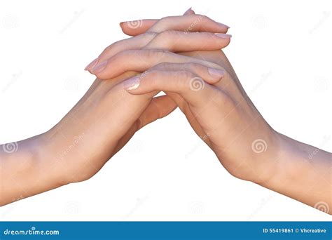 Two Hands with Interlaced Fingers Stock Image - Image of isolated, palms: 55419861