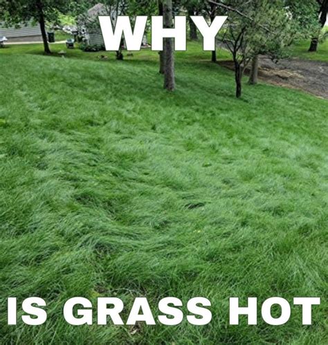 “go touch some grass” ok mf, i think i will. [lipbite] in 2021 | Pinterest memes, Funny ...