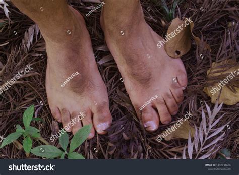 70 Hobbit foot Images, Stock Photos & Vectors | Shutterstock