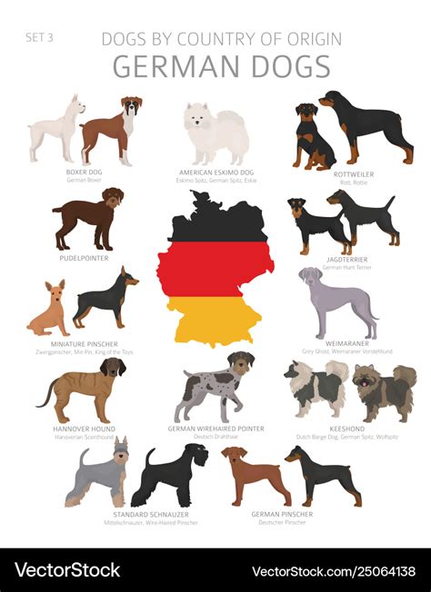 Dogs country origin german dog breeds Royalty Free Vector