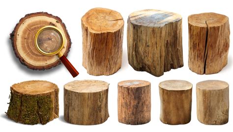 The Ultimate Guide to Choosing the Best Wood for Your Furniture – Saraf ...