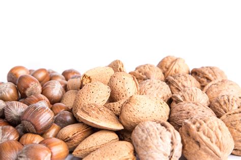 Nuts Free Stock Photo - Public Domain Pictures