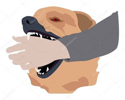 illust de animal y medicación, mordeduras de perro mano humana, Los peligros de mordeduras de ...