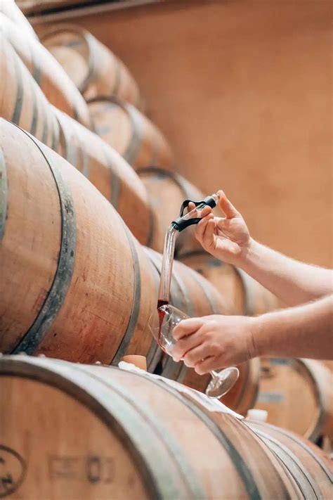 The BEST Wineries in Healdsburg You Need to Visit in 2023