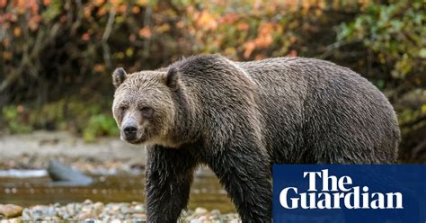 Kaellyn nude she has a high appeal and will cater to all