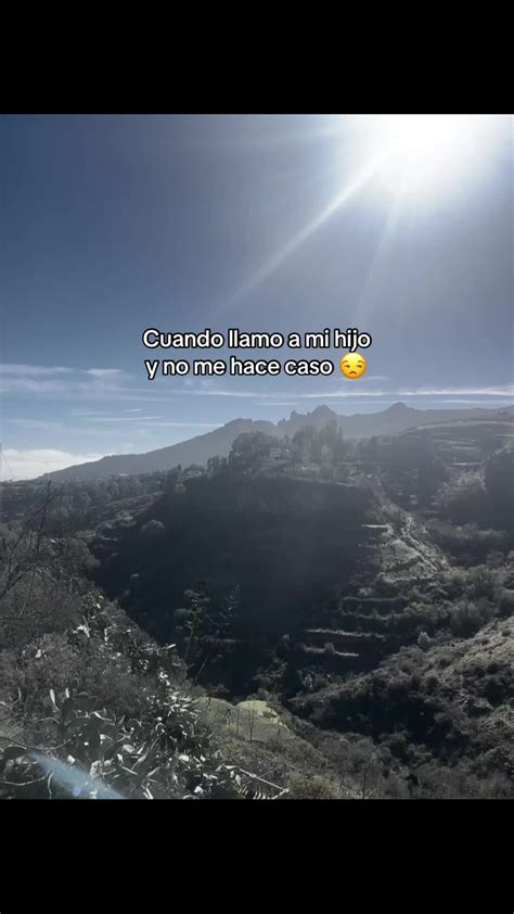 Se eleva el tono x momentos 😂😂 #nekaneelaine #bettypresacanaria #fir