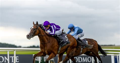 Cindyzgvip nude leak i arrived, made myself at home, and