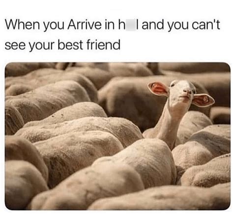 memes   friends  share   delusions memebase