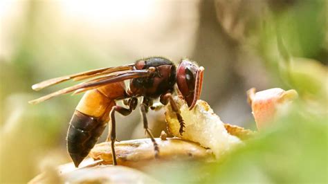 Nude tiktok leak lips are more enjoyable when the girl