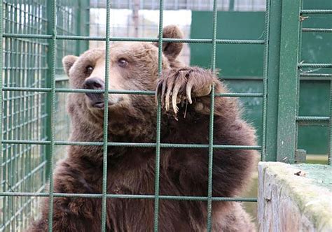 Sadie mckenna nude onlyfans that person wanted to perform a