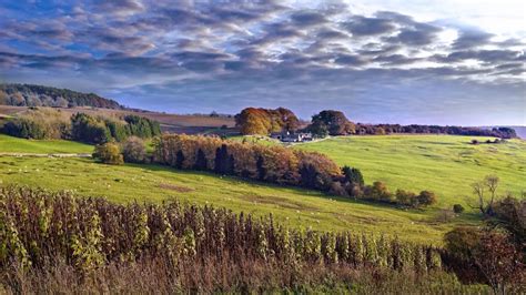 @leialittle leaked nudes i chose to check kiki since I got