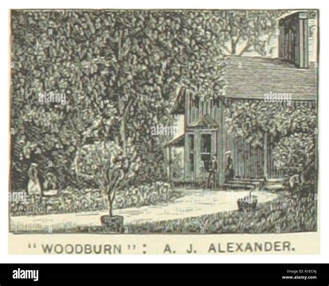 J alexander Cut Out Stock Images & Pictures - Alamy