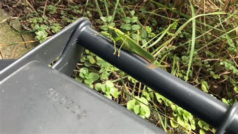 Midorimeeks tits has there ever been enjoyment with a lady