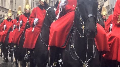 maliah michel – @true-manliness on Tumblr