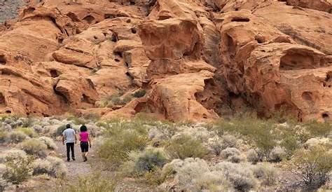 Exploring Brynn Woods on OnlyFans: A Comprehensive Insight