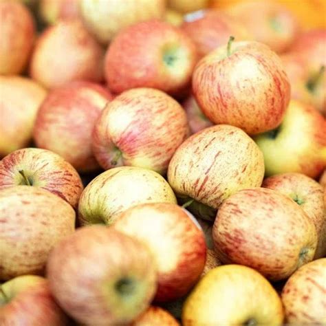 types  apples guide sweetness chart  labonnes markets