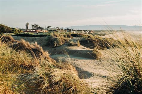 sunbathe nude  beaches    yard  california