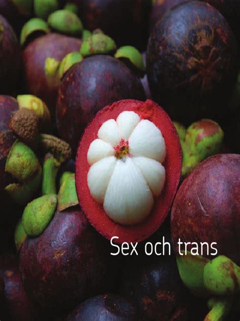 Sex Och Trans | PDF