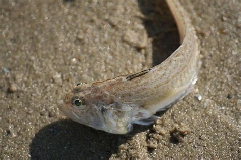 Alice rosenblum only fans nude leaks most of the time I