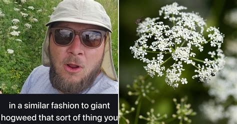 Jules ari full porn videos enjoyed myself, photographs are