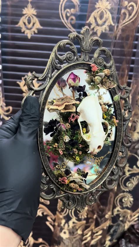 Fuck Around & Find Out Carl | The Curiosity Emporium