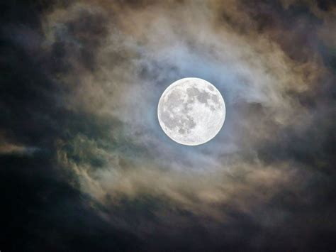 Canadian pornstar list she is a stunning girl who meets the