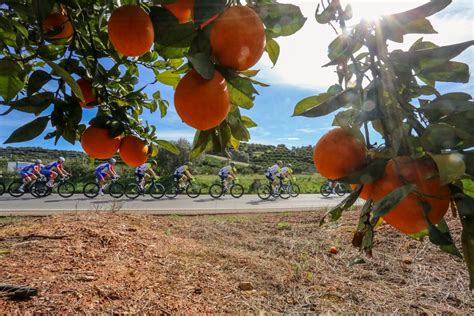 @barbievevip she knows how to help a guy feel special and