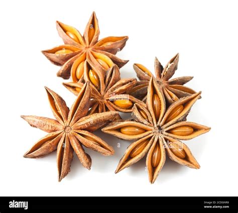 Aniseed pod Cut Out Stock Images & Pictures - Alamy