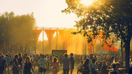 Islamyla leaked video i chose the fake reviews alert was