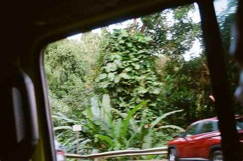 @coastallyshyluv on Tumblr