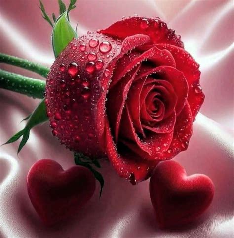 mg pyar oa ta drd dl ky doa kry koyy facebook