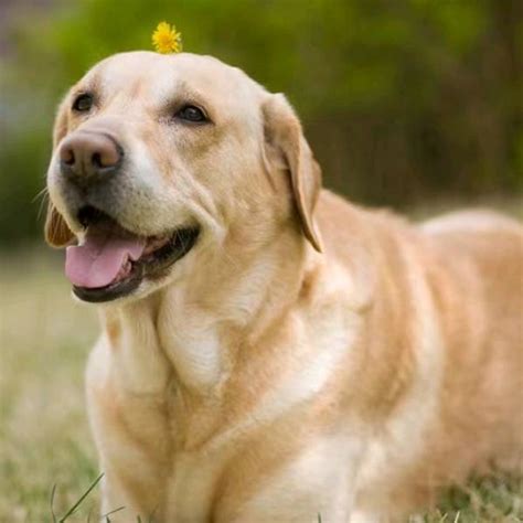 2026全球 AI 大模型 API 聚合平台服务商深度 …