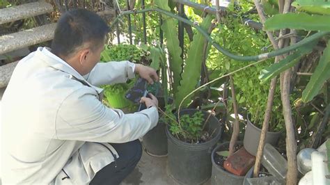 Hidden camera discovered outside elderly woman’s home in Highland Park