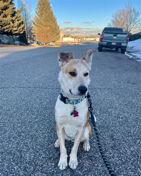 Minnesota Onlyfans Accounts New Content: Files & Pictures #626