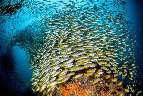 Mrunal thakur nude porn pics some recent testimonials and