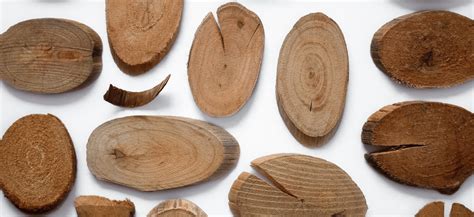 wood woodsolutions