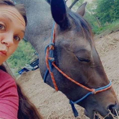 Australian Shepherd Owners | Hi, I’m looking for a female Australian