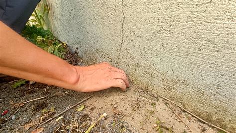 Ariel rebel onlyfans upon arrival, I reached at really