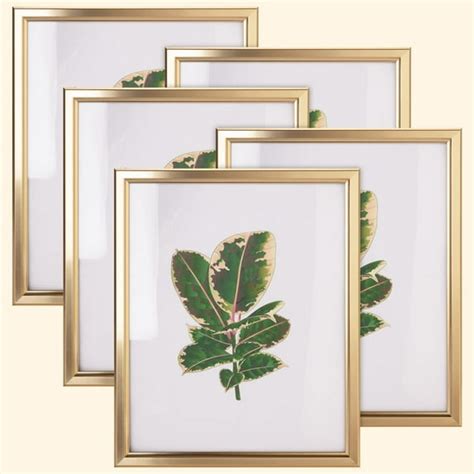 8x10 Picture Frame - Set of 5, Matte Gold 8 x 10 Photo Frame with High