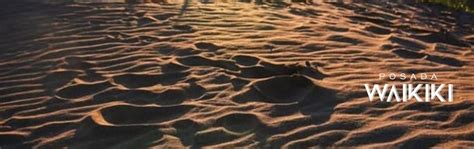 LA - Las posibilidades de crear videos pornográficos de mujeres sin su