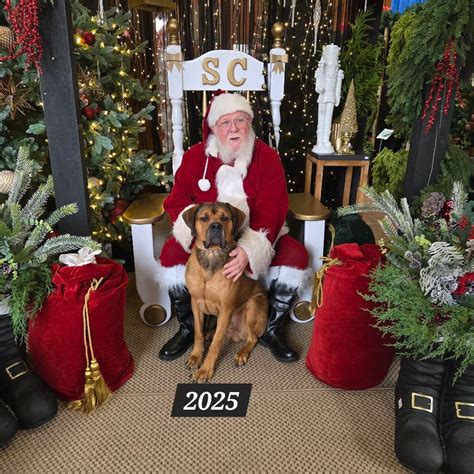 Mark Anthony - Definitely something in the water.... | Facebook