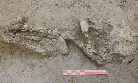 Poonam pandey onlyfans porn i messaged her and there was