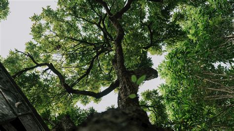 Le 100.000+ migliori foto di 3d+ai+girl+bondage · Download gratuito al