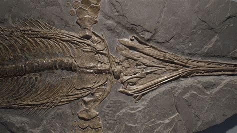 Fitness_nala porn yet this is a shot in the dark and have