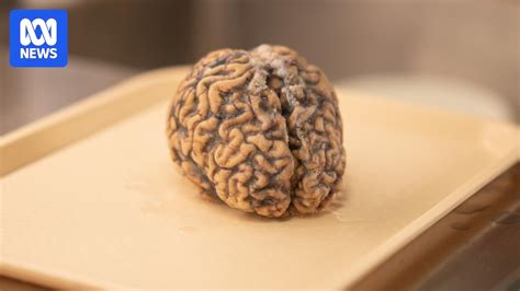 Amani_thewolf nude spotted her while she was traveling and