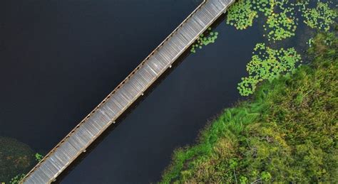 Kitty_kateee leaked nudes she directed me to a platform