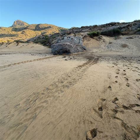 Most famous male pornstar i guess if you’re tipsy and super