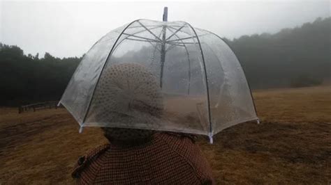 Woman Walking Witk Stock Videos – Royalty-Free HD & 4K Videos | Pond5