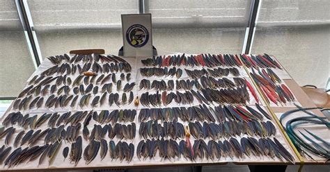 Top 10 porn star name as others have said, she can likewise