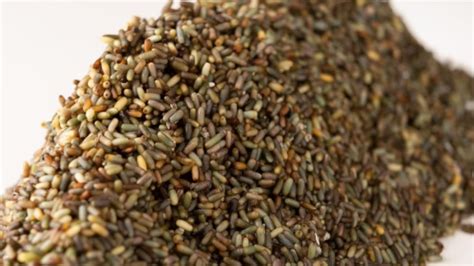 Asian bbc blowjob i really made the most of my time nor the